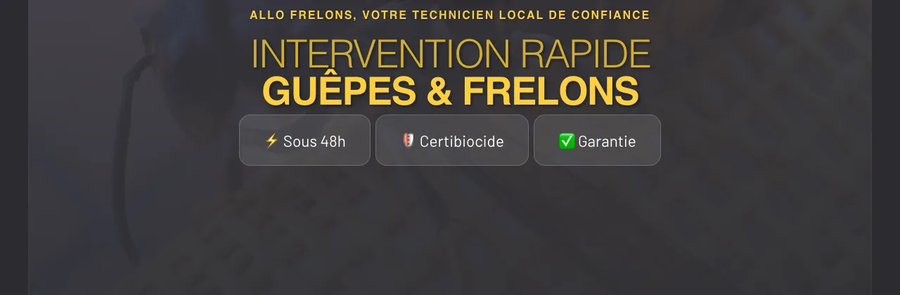 The Allo Frelons homepage: rapid intervention for wasps and hornets, within 48 hours, Certibiocide certified, guaranteed